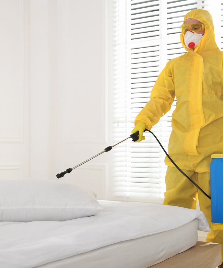 Professional Pest Control Team in Kingston Park